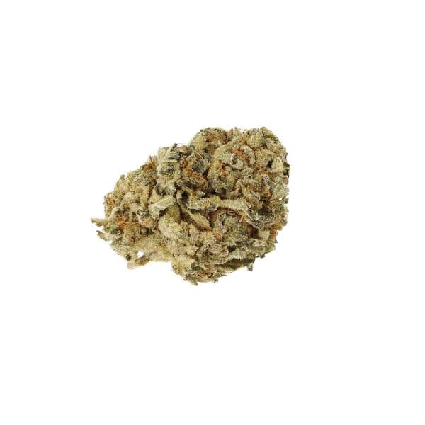 Cannabis der Sorte Galaxy Walker OG