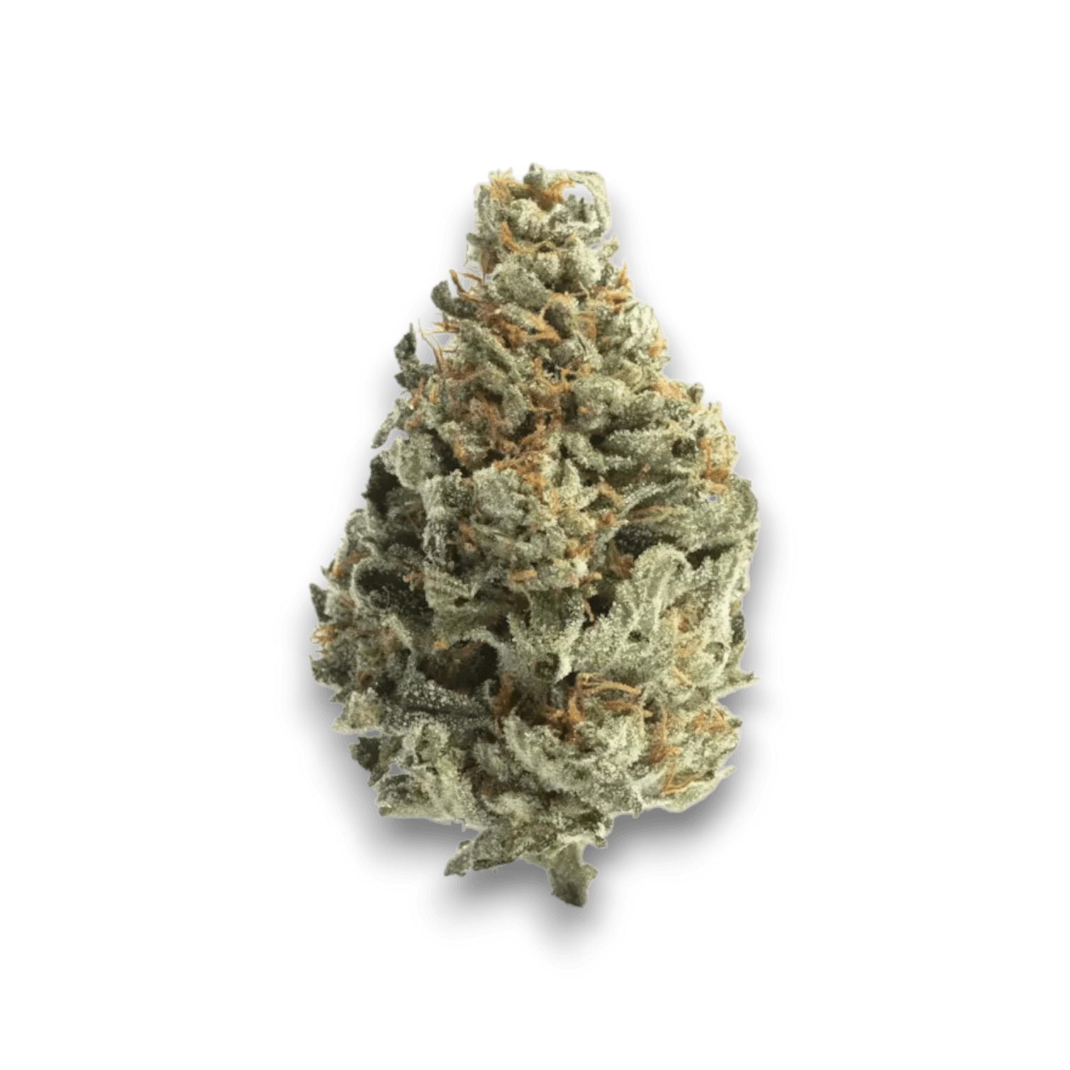 Med. Cannabis