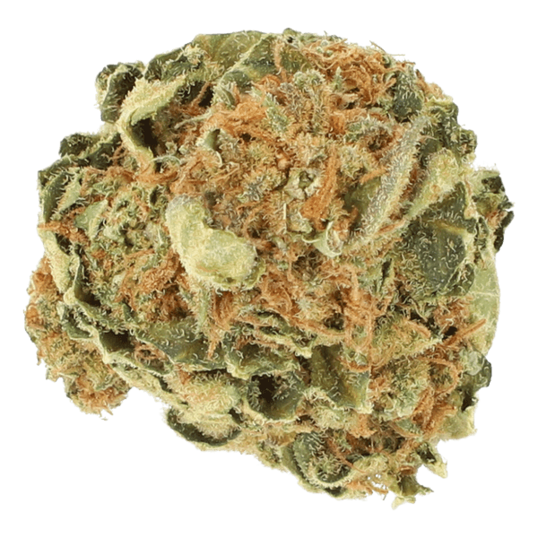 Cannabis der Sorte Strawberry Ice