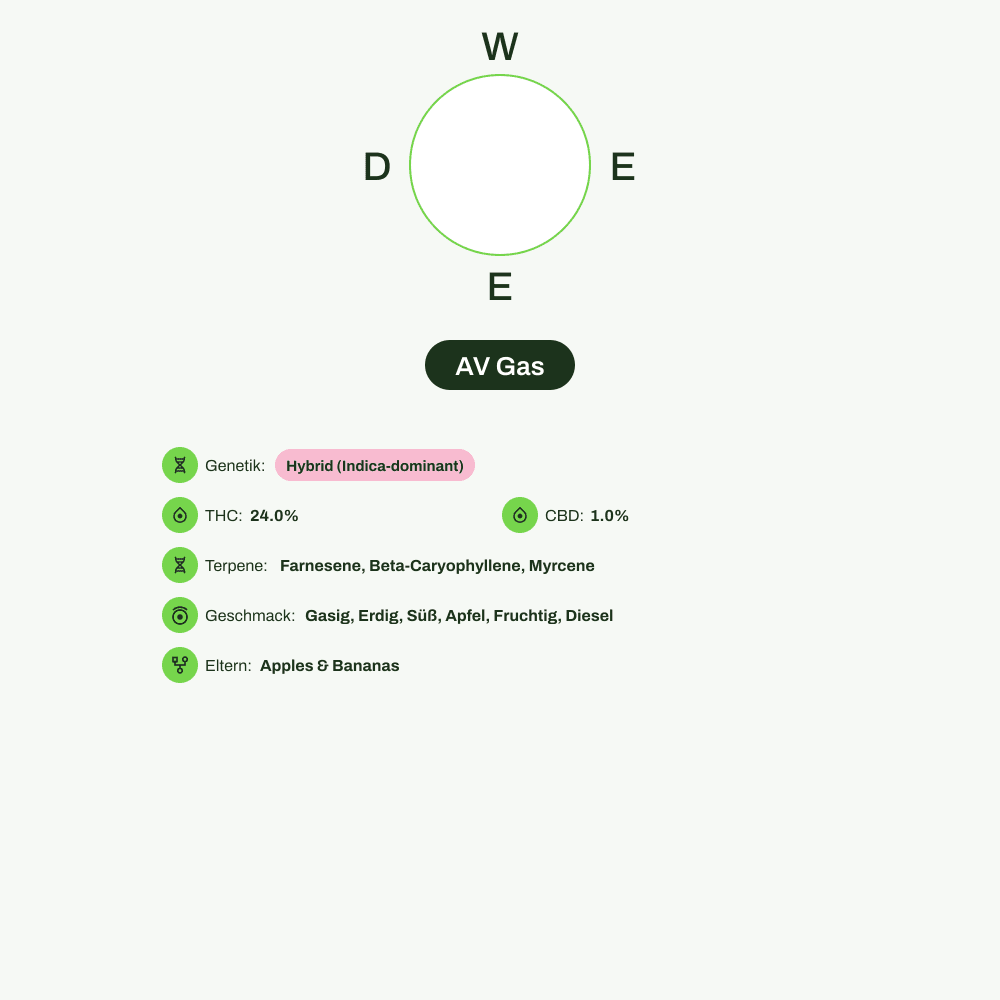 Infografik über THC-Gehalt, CBD-Gehalt, Terpene, Wirkungen, Geschmack von AV Gas