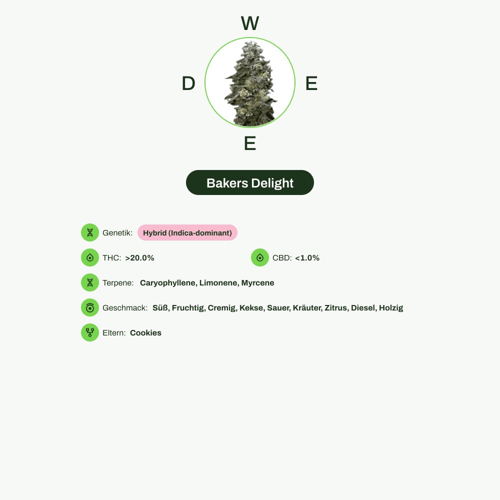 Infografik über THC-Gehalt, CBD-Gehalt, Terpene, Wirkungen, Geschmack von Bakers Delight