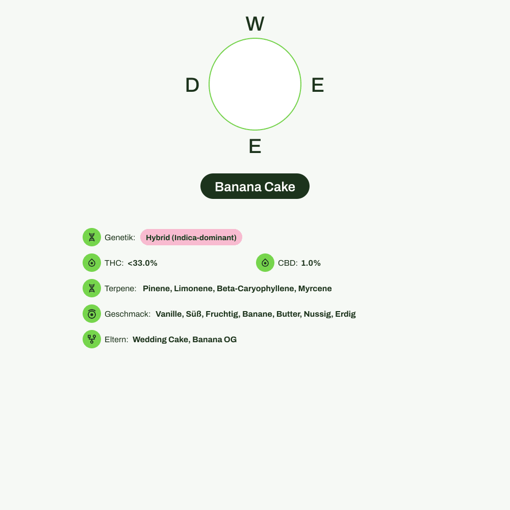Infografik über THC-Gehalt, CBD-Gehalt, Terpene, Wirkungen, Geschmack von Banana Cake