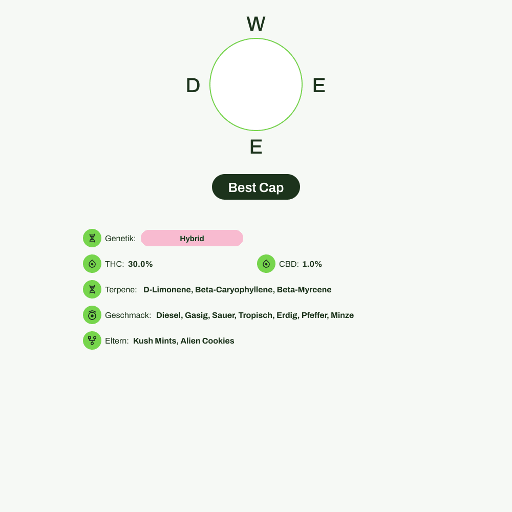 Infografik über THC-Gehalt, CBD-Gehalt, Terpene, Wirkungen, Geschmack von Best Cap