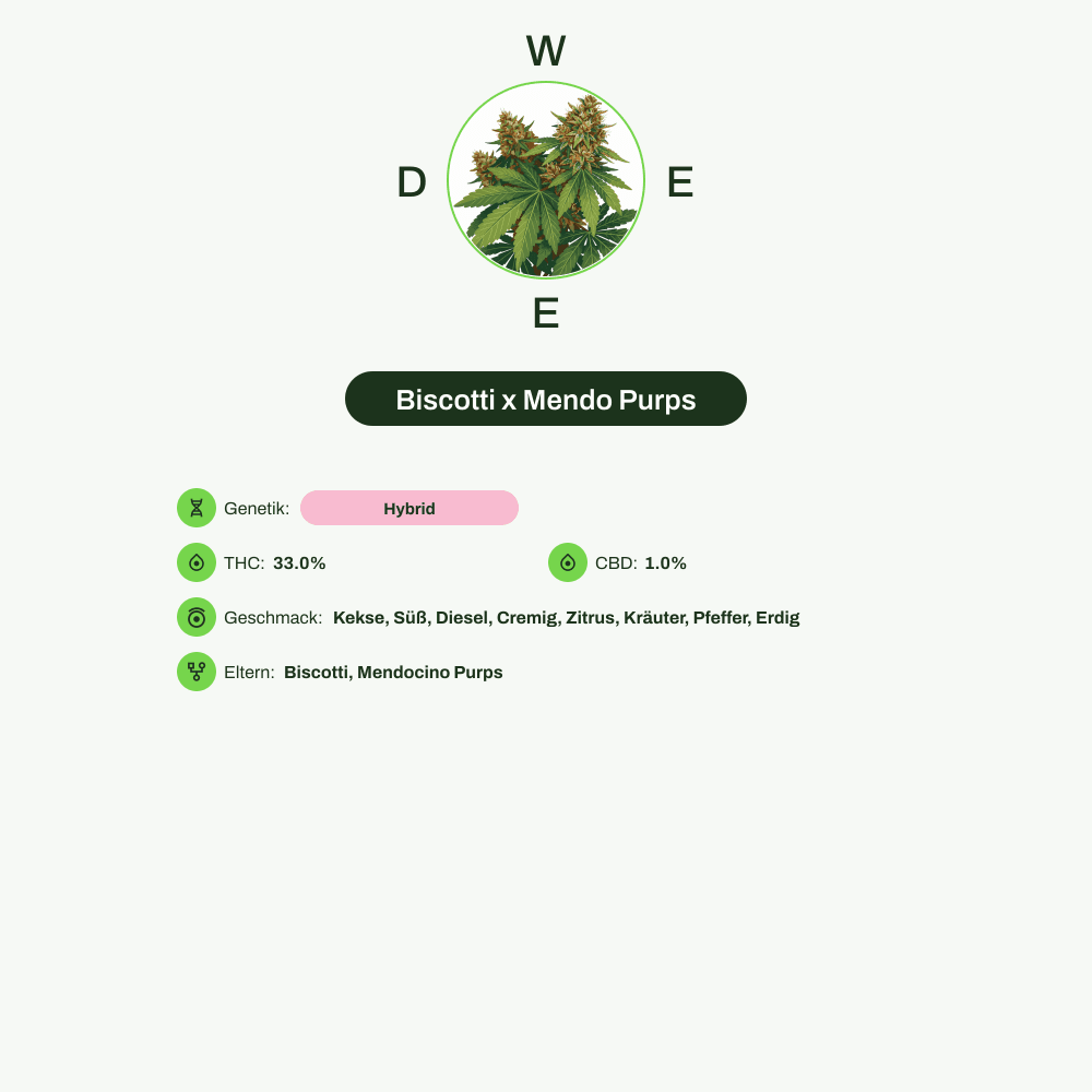 Infografik über THC-Gehalt, CBD-Gehalt, Wirkungen, Geschmack von Biscotti x Mendo Purps