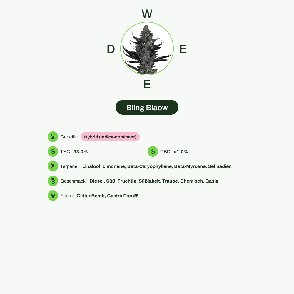 Infografik über THC-Gehalt, CBD-Gehalt, Terpene, Wirkungen, Geschmack von Bling Blaow
