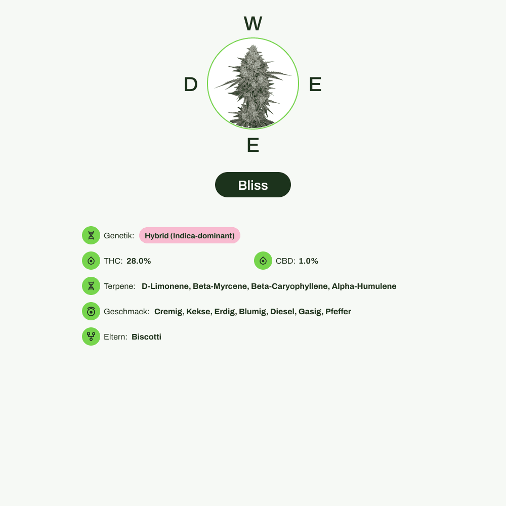 Infografik über THC-Gehalt, CBD-Gehalt, Terpene, Wirkungen, Geschmack von Bliss