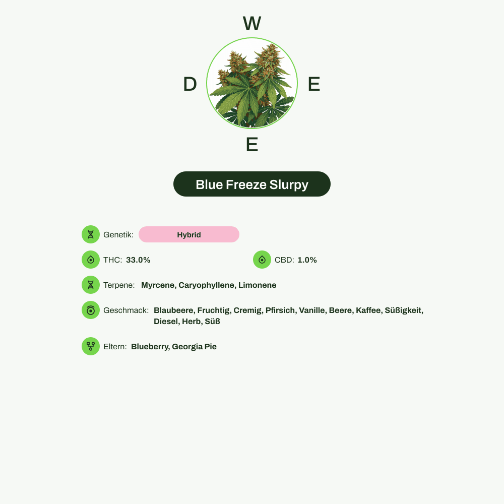 Infografik über THC-Gehalt, CBD-Gehalt, Terpene, Wirkungen, Geschmack von Blue Freeze Slurpy