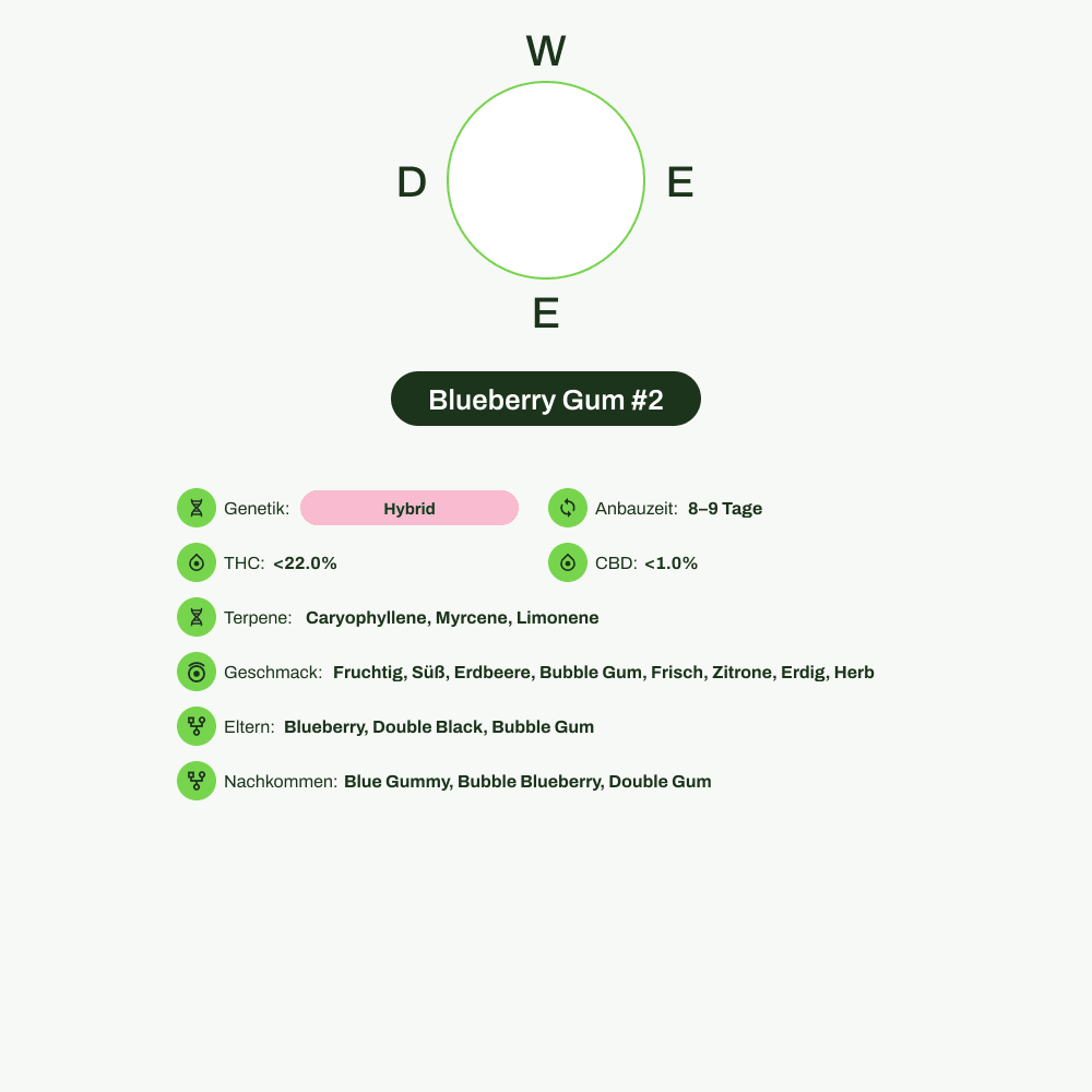 Infografik über THC-Gehalt, CBD-Gehalt, Terpene, Wirkungen, Geschmack von Blueberry Gum #2