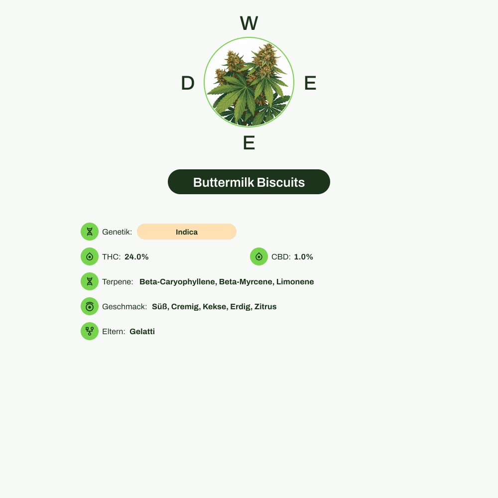 Infografik über THC-Gehalt, CBD-Gehalt, Terpene, Wirkungen, Geschmack von Buttermilk Biscuits