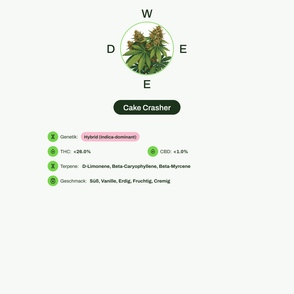 Infografik über THC-Gehalt, CBD-Gehalt, Terpene, Wirkungen, Geschmack von Cake Crasher