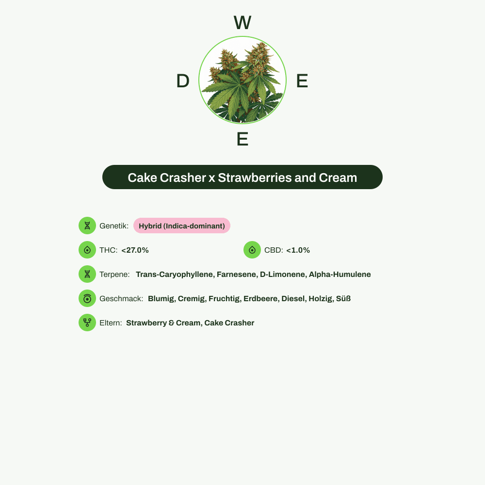 Infografik über THC-Gehalt, CBD-Gehalt, Terpene, Wirkungen, Geschmack von Cake Crasher x Strawberries and Cream