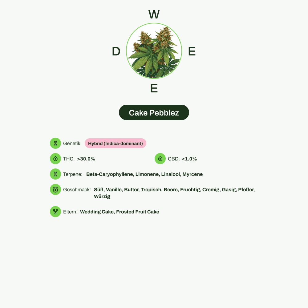 Infografik über THC-Gehalt, CBD-Gehalt, Terpene, Wirkungen, Geschmack von Cake Pebblez