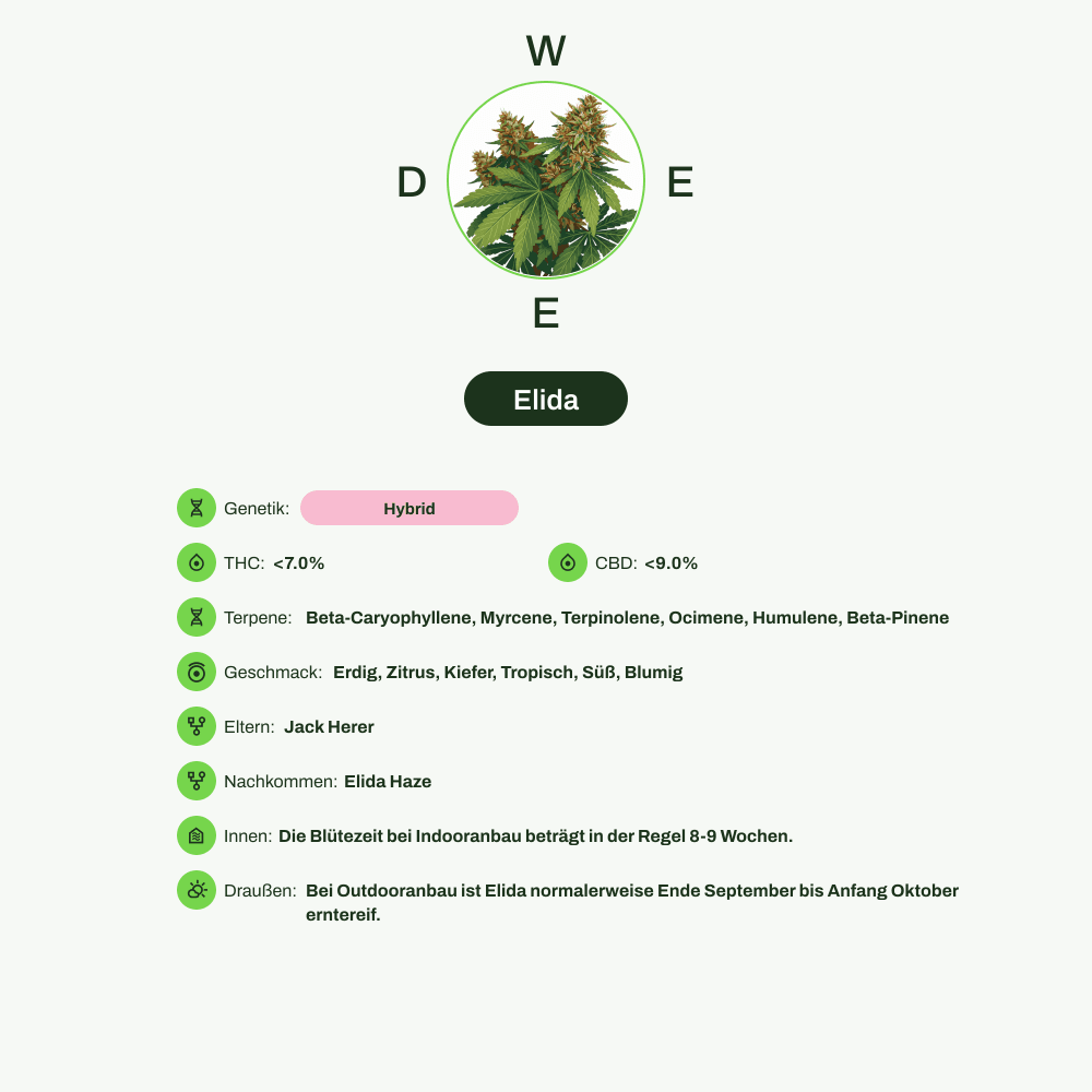 Infografik über THC-Gehalt, CBD-Gehalt, Terpene, Wirkungen, Geschmack von Elida
