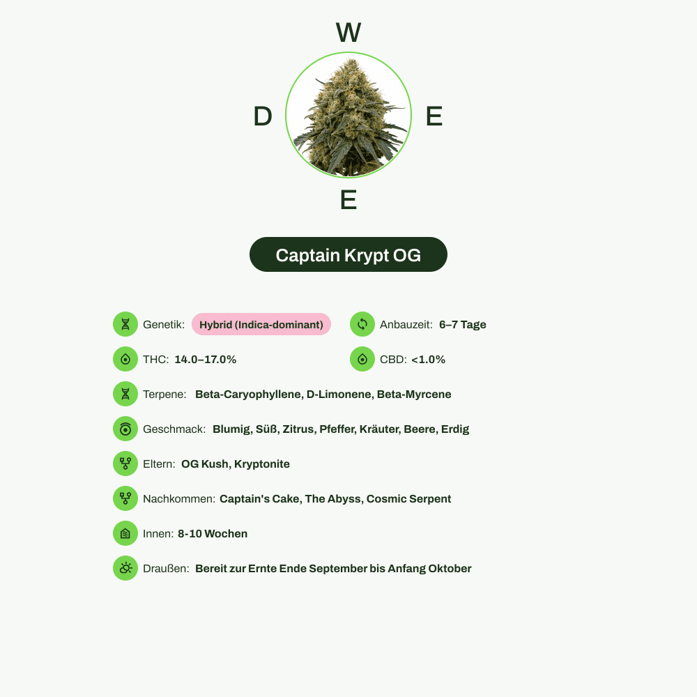 Infografik über THC-Gehalt, CBD-Gehalt, Terpene, Wirkungen, Geschmack von Captain Krypt OG
