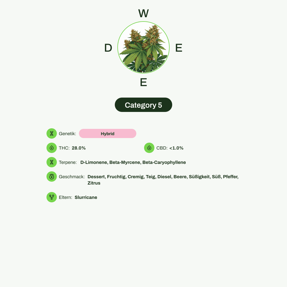 Infografik über THC-Gehalt, CBD-Gehalt, Terpene, Wirkungen, Geschmack von Category 5