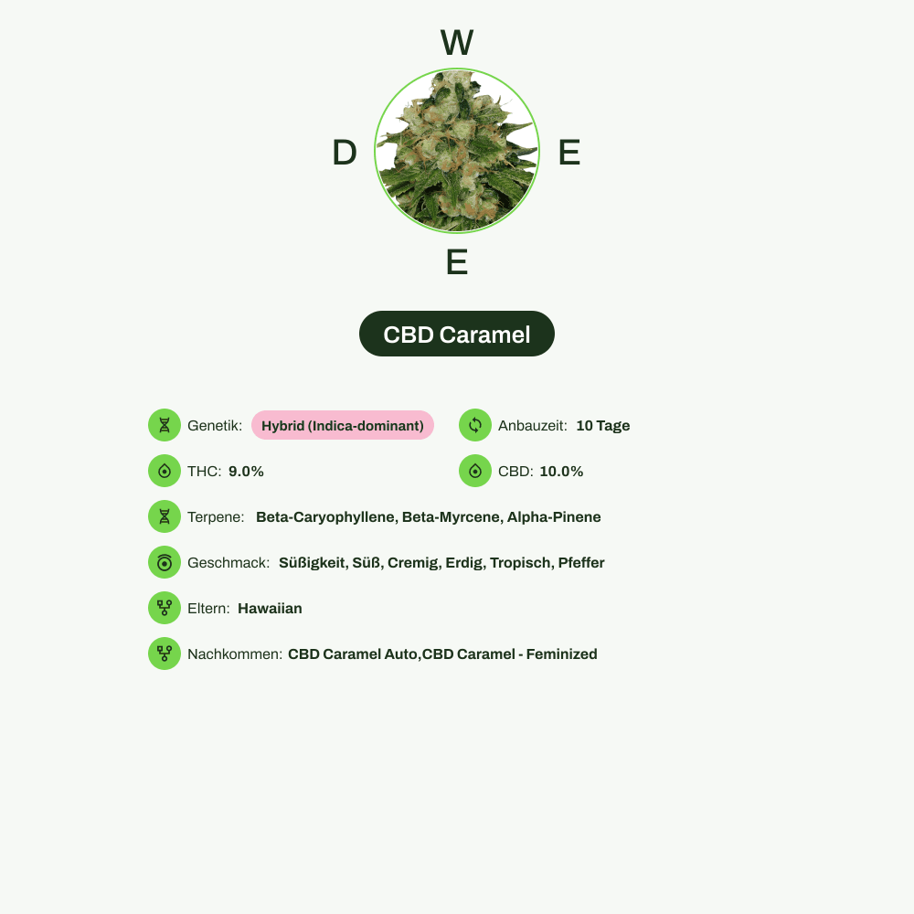 Infografik über THC-Gehalt, CBD-Gehalt, Terpene, Wirkungen, Geschmack von CBD Caramel