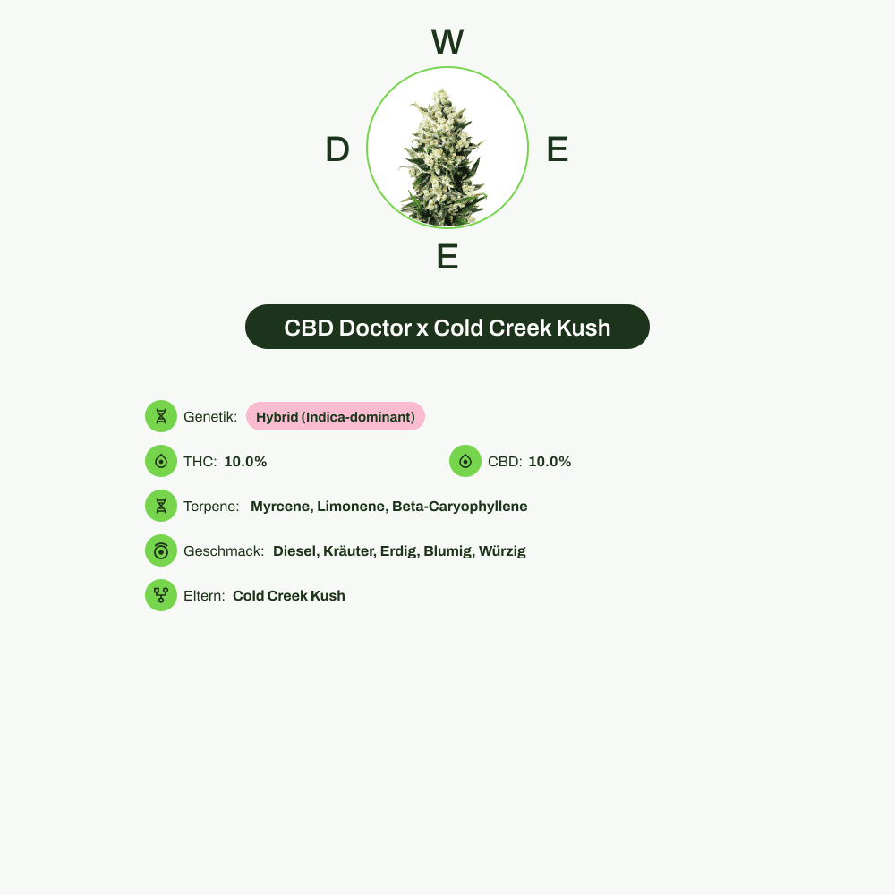 Infografik über THC-Gehalt, CBD-Gehalt, Terpene, Wirkungen, Geschmack von CBD Doctor x Cold Creek Kush