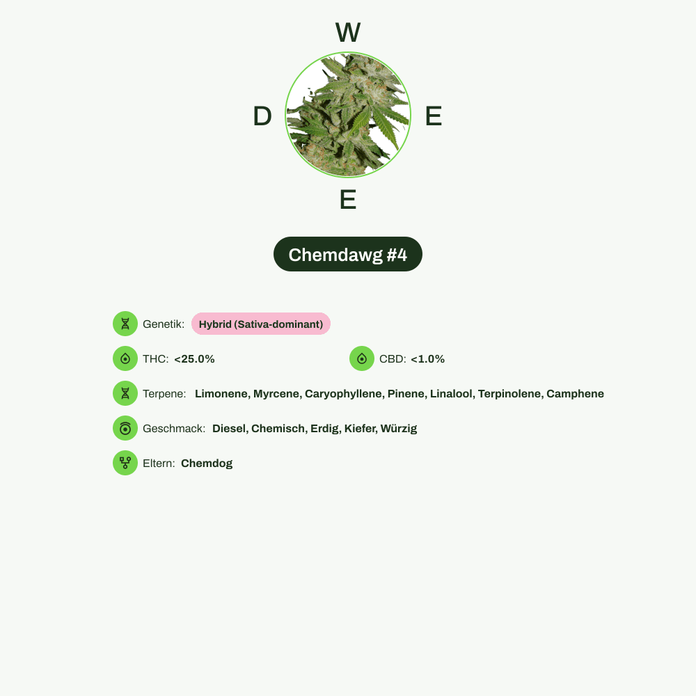 Infografik über THC-Gehalt, CBD-Gehalt, Terpene, Wirkungen, Geschmack von Chemdawg #4