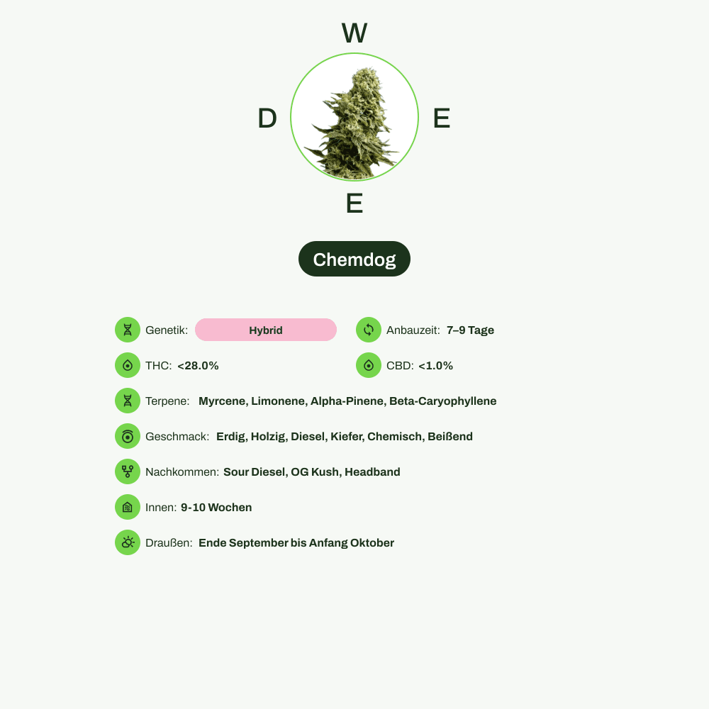 Infografik über THC-Gehalt, CBD-Gehalt, Terpene, Wirkungen, Geschmack von Chemdog