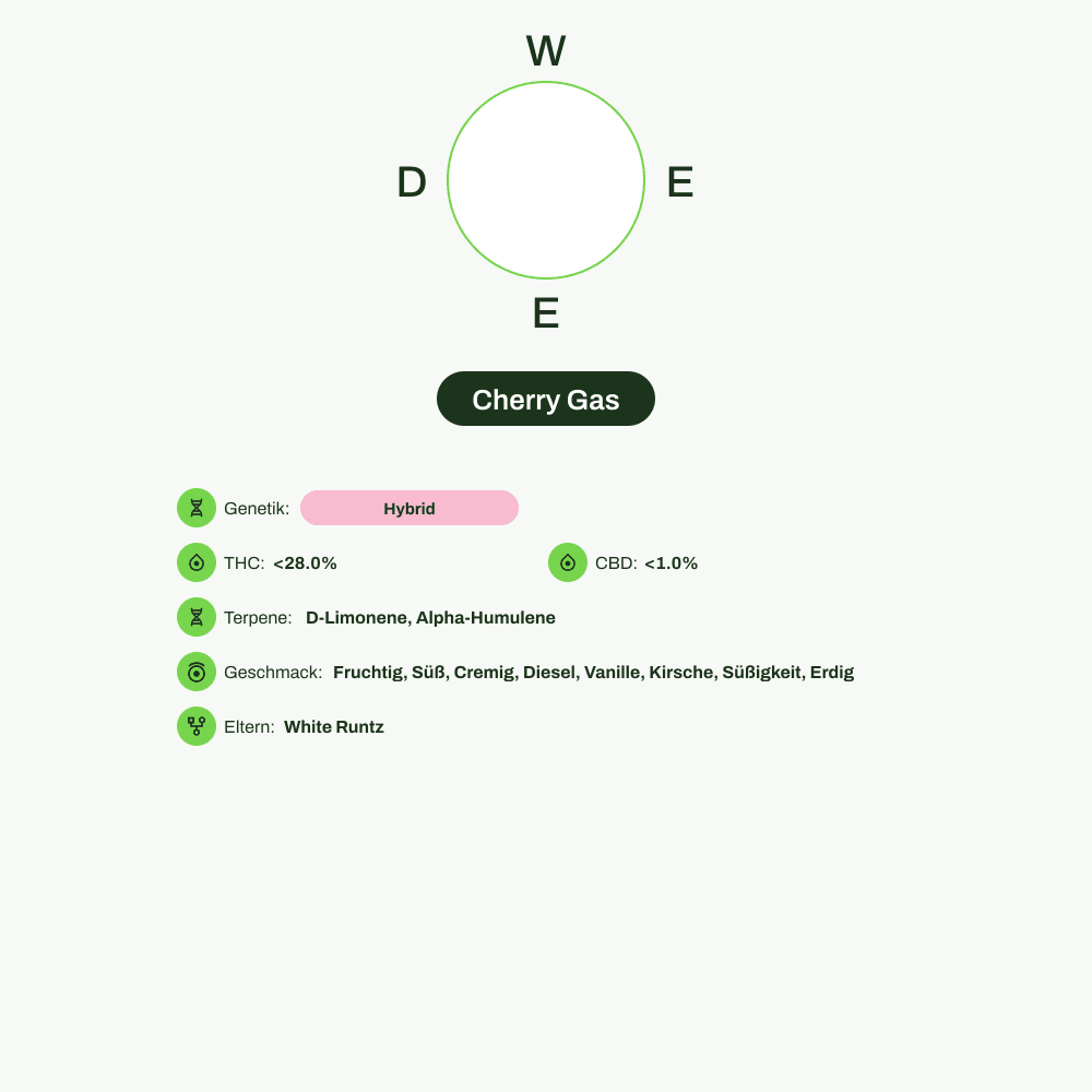 Infografik über THC-Gehalt, CBD-Gehalt, Terpene, Wirkungen, Geschmack von Cherry Gas