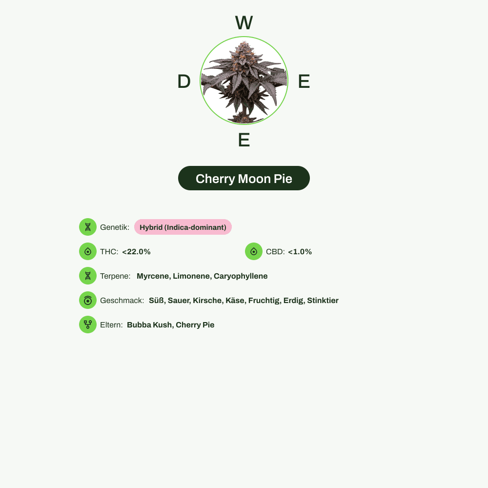 Infografik über THC-Gehalt, CBD-Gehalt, Terpene, Wirkungen, Geschmack von Cherry Moon Pie