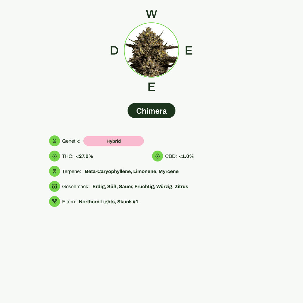 Infografik über THC-Gehalt, CBD-Gehalt, Terpene, Wirkungen, Geschmack von Chimera