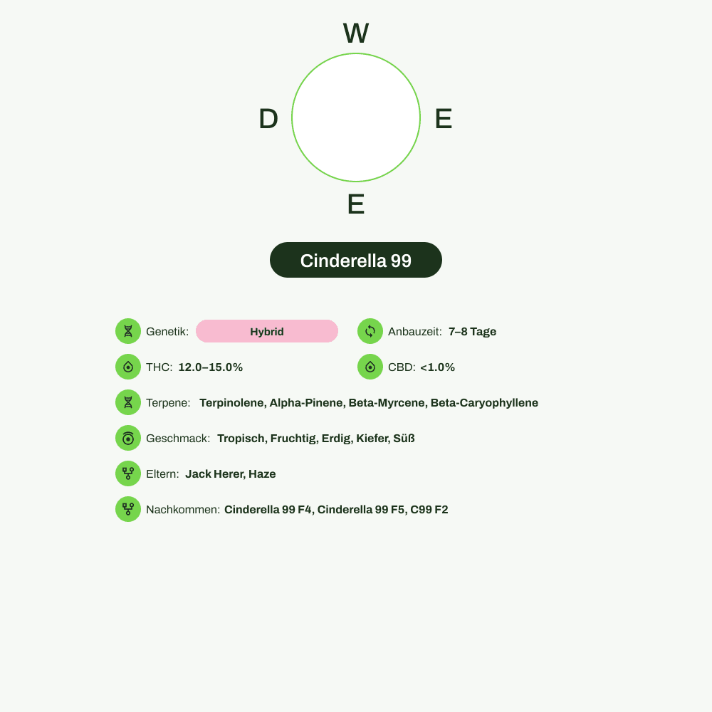 Infografik über THC-Gehalt, CBD-Gehalt, Terpene, Wirkungen, Geschmack von Cinderella 99