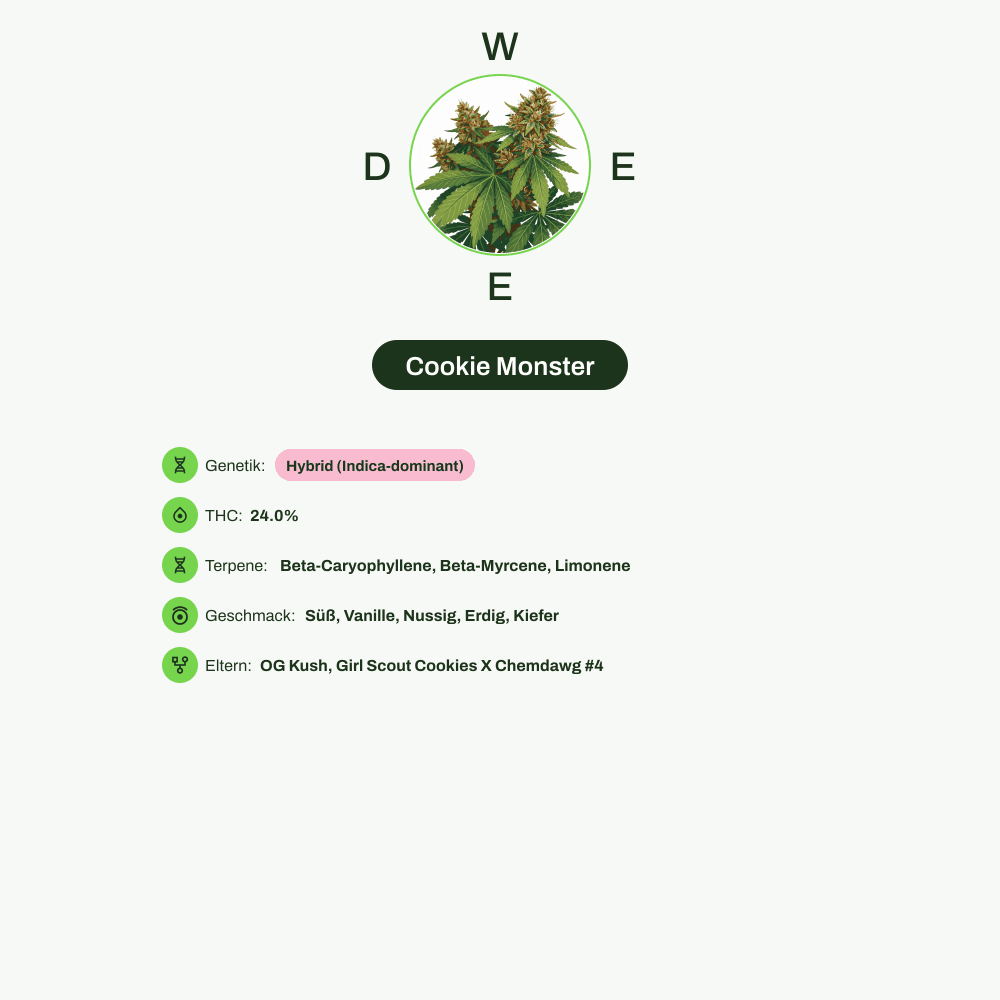Infografik über THC-Gehalt, CBD-Gehalt, Terpene, Wirkungen, Geschmack von Cookie Monster