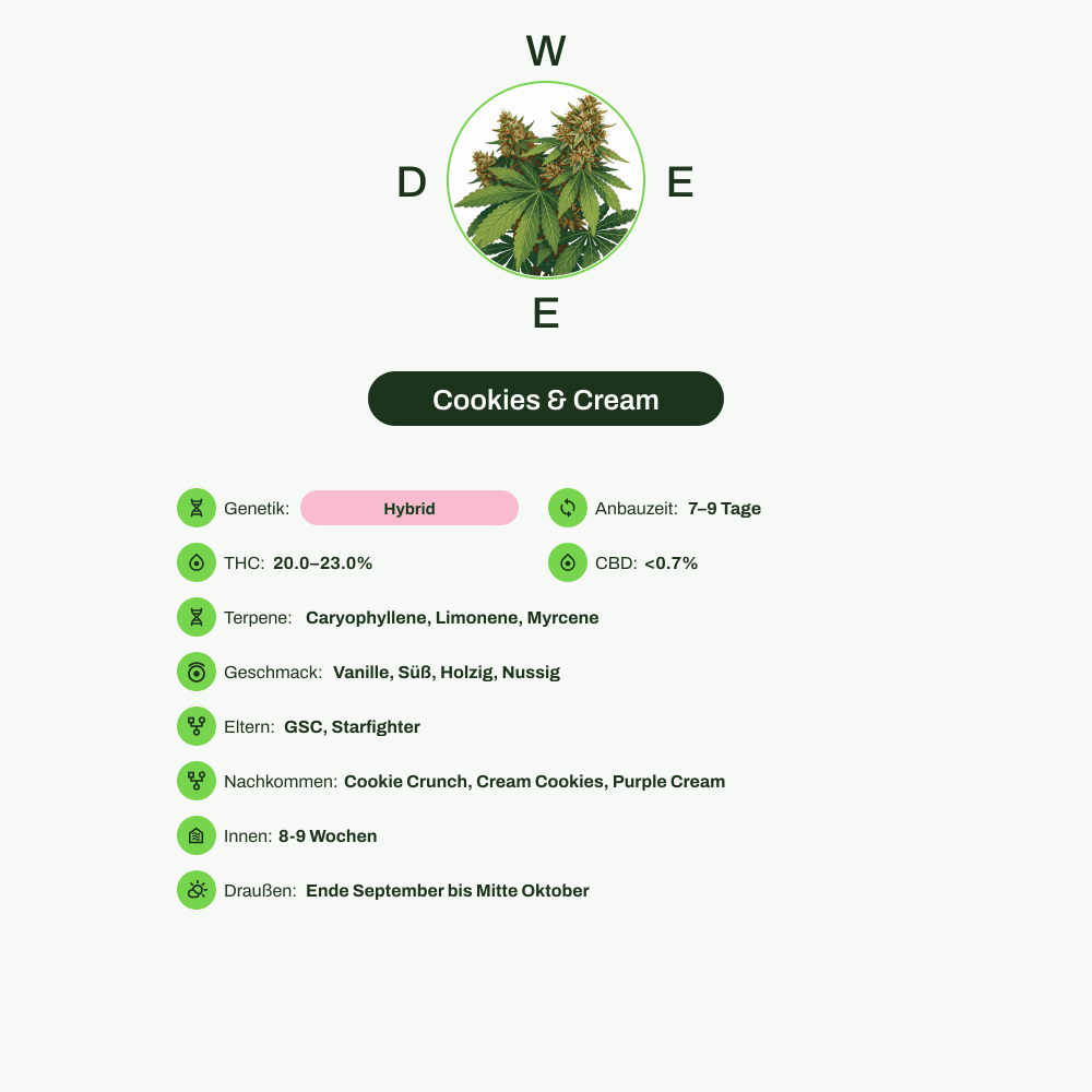 Infografik über THC-Gehalt, CBD-Gehalt, Terpene, Wirkungen, Geschmack von Cookies & Cream