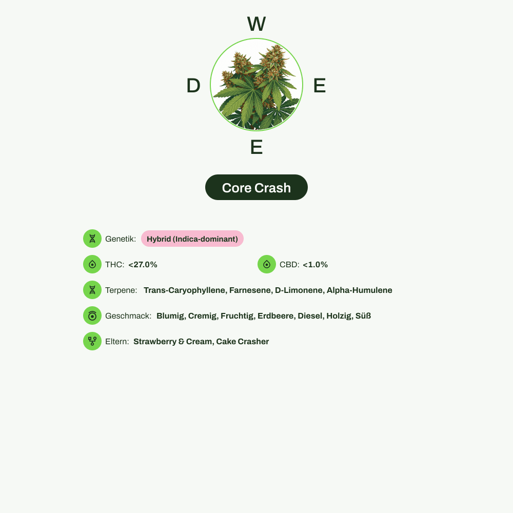 Infografik über THC-Gehalt, CBD-Gehalt, Terpene, Wirkungen, Geschmack von Core Crash