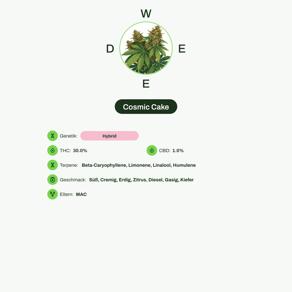 Infografik über THC-Gehalt, CBD-Gehalt, Terpene, Wirkungen, Geschmack von Cosmic Cake