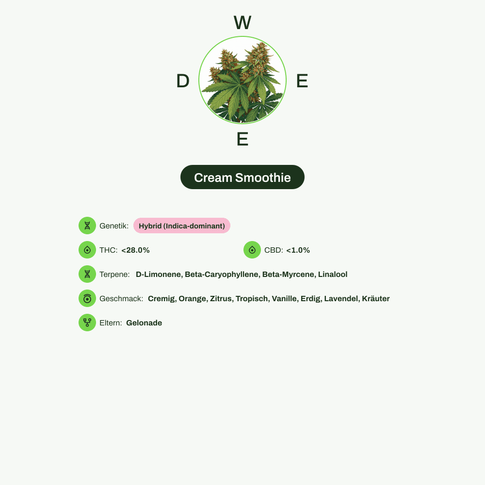 Infografik über THC-Gehalt, CBD-Gehalt, Terpene, Wirkungen, Geschmack von Cream Smoothie