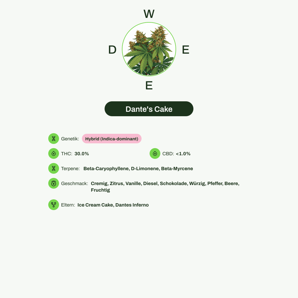 Infografik über THC-Gehalt, CBD-Gehalt, Terpene, Wirkungen, Geschmack von Dante's Cake