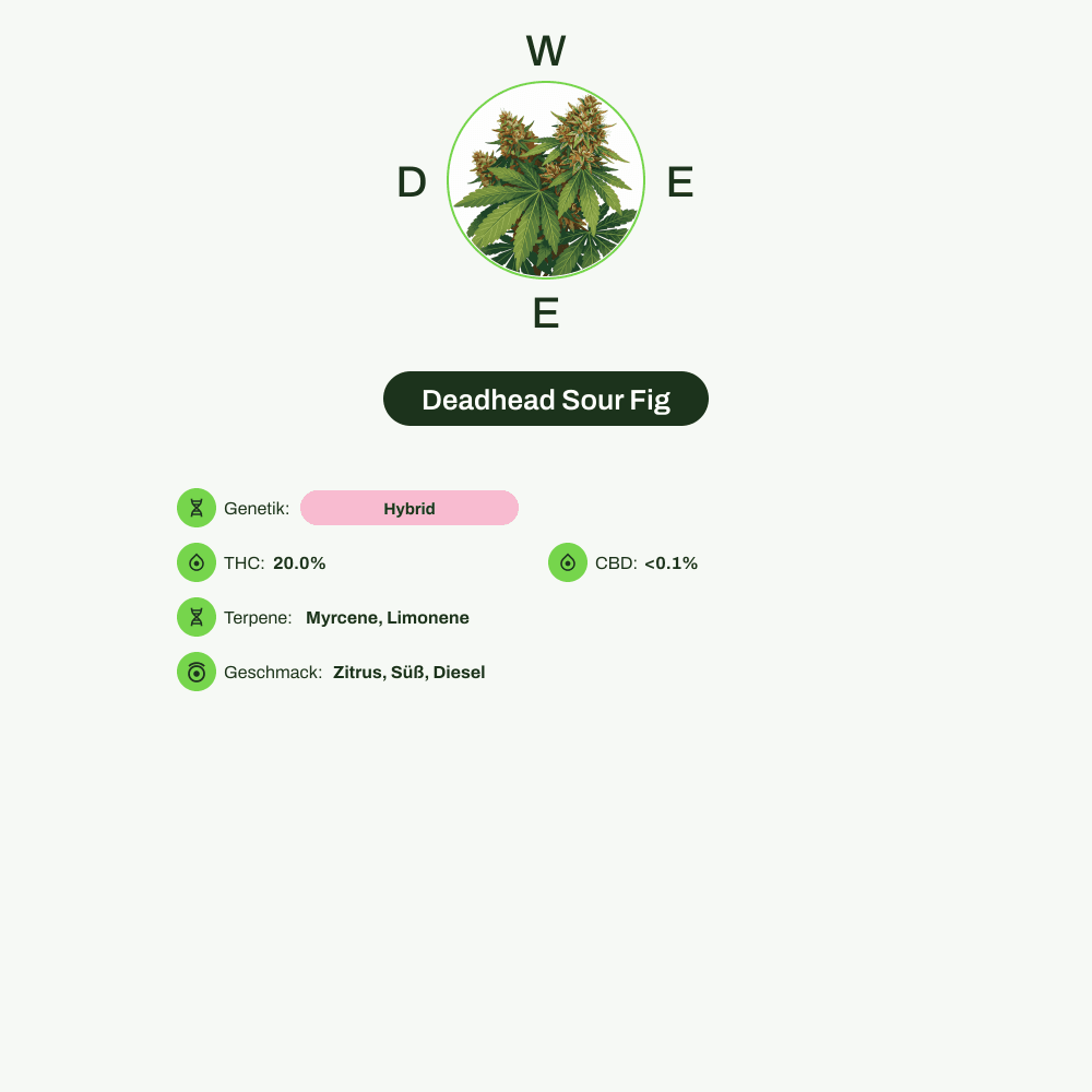 Infografik über THC-Gehalt, CBD-Gehalt, Terpene, Wirkungen, Geschmack von Deadhead Sour Fig