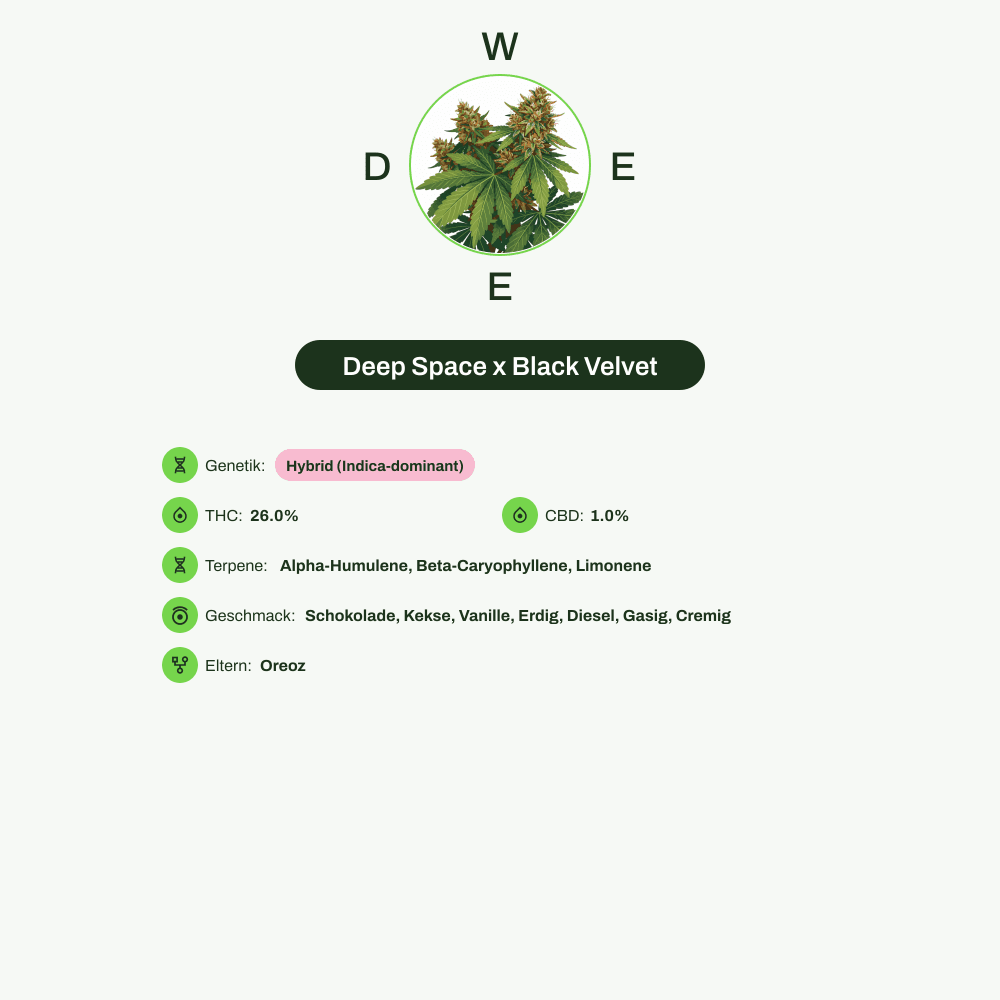 Infografik über THC-Gehalt, CBD-Gehalt, Terpene, Wirkungen, Geschmack von Deep Space x Black Velvet