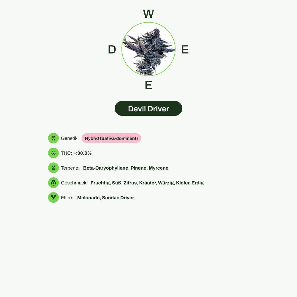 Infografik über THC-Gehalt, CBD-Gehalt, Terpene, Wirkungen, Geschmack von Devil Driver