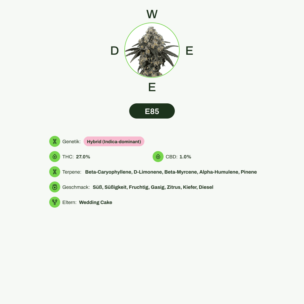 Infografik über THC-Gehalt, CBD-Gehalt, Terpene, Wirkungen, Geschmack von E85