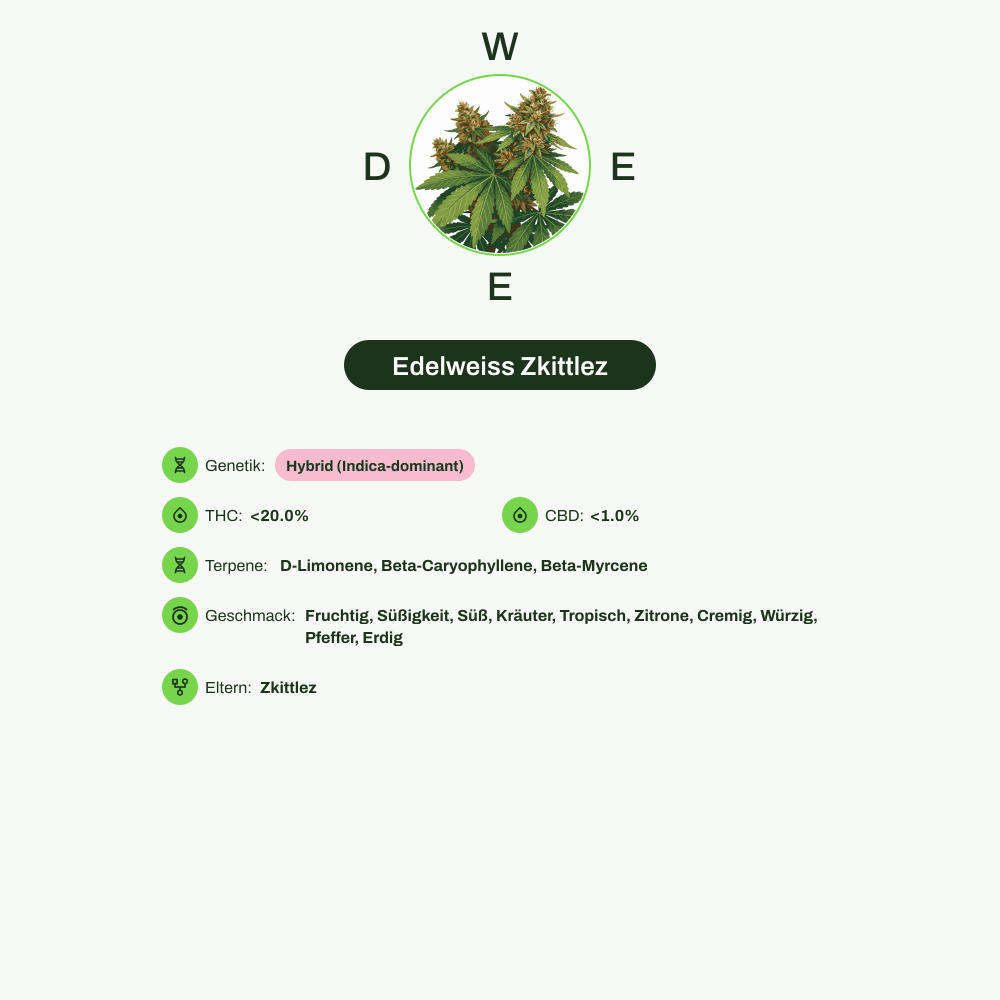 Infografik über THC-Gehalt, CBD-Gehalt, Terpene, Wirkungen, Geschmack von Edelweiss Zkittlez