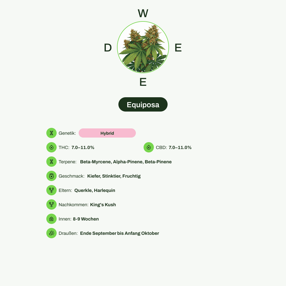 Infografik über THC-Gehalt, CBD-Gehalt, Terpene, Wirkungen, Geschmack von Equiposa