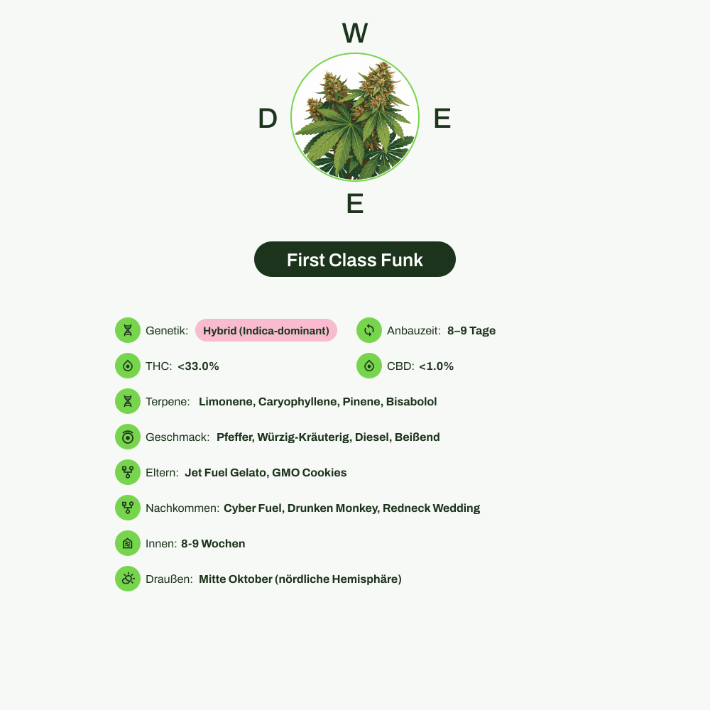 Infografik über THC-Gehalt, CBD-Gehalt, Terpene, Wirkungen, Geschmack von First Class Funk