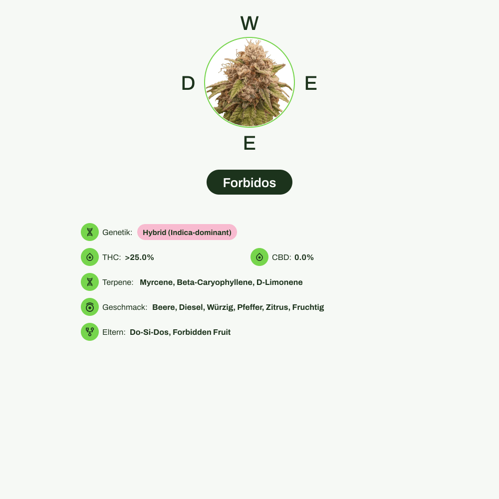 Infografik über THC-Gehalt, CBD-Gehalt, Terpene, Wirkungen, Geschmack von Forbidos