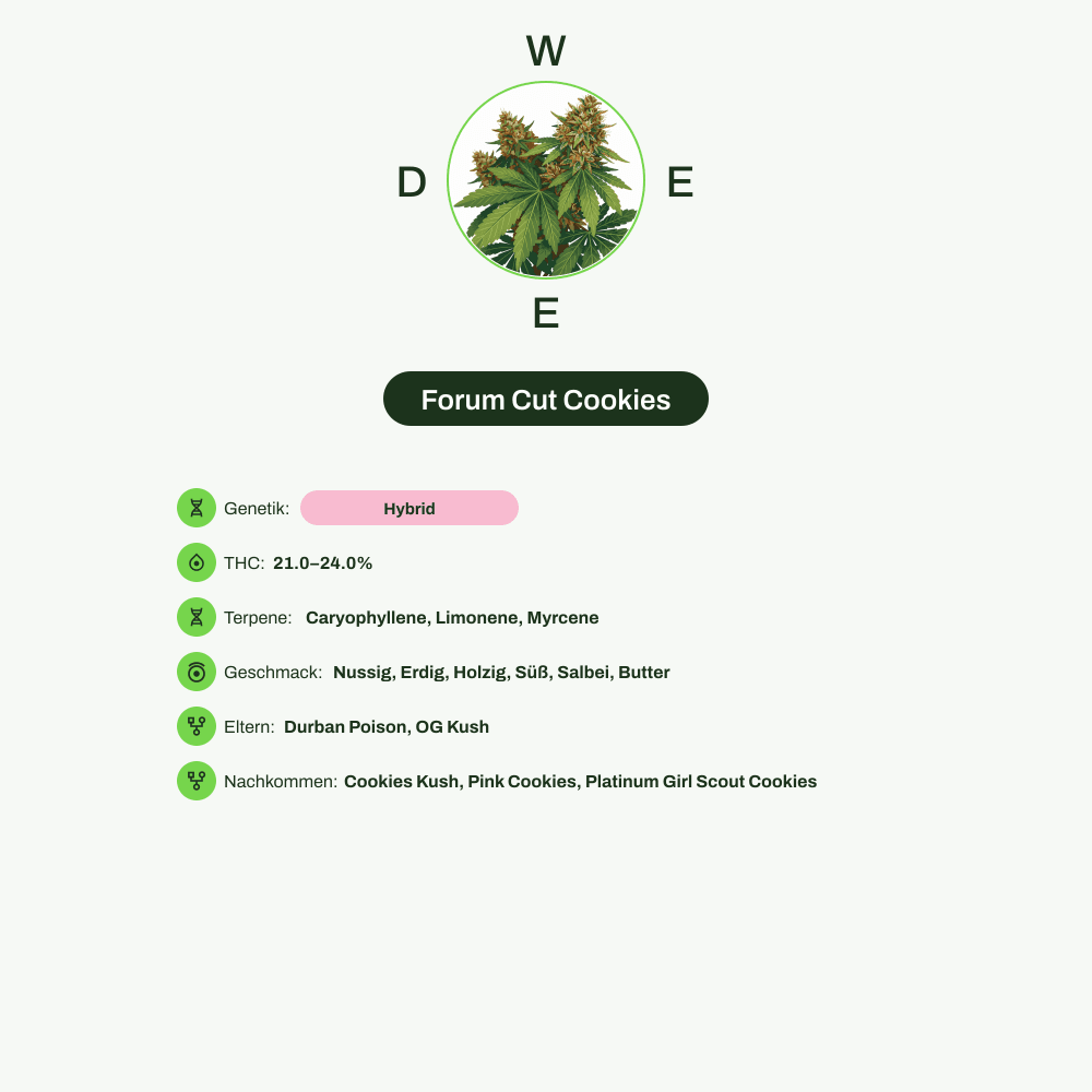 Infografik über THC-Gehalt, CBD-Gehalt, Terpene, Wirkungen, Geschmack von Forum Cut Cookies