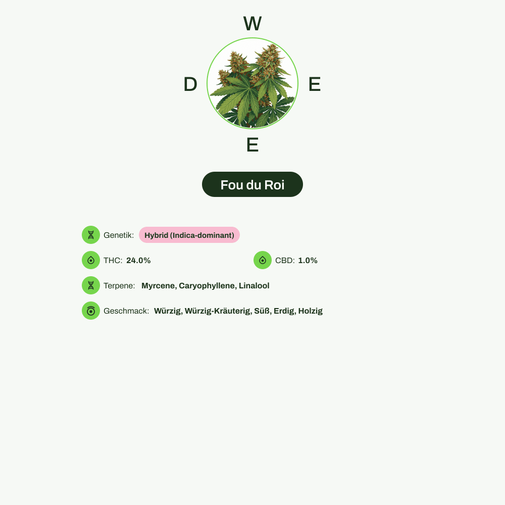 Infografik über THC-Gehalt, CBD-Gehalt, Terpene, Wirkungen, Geschmack von Fou du Roi