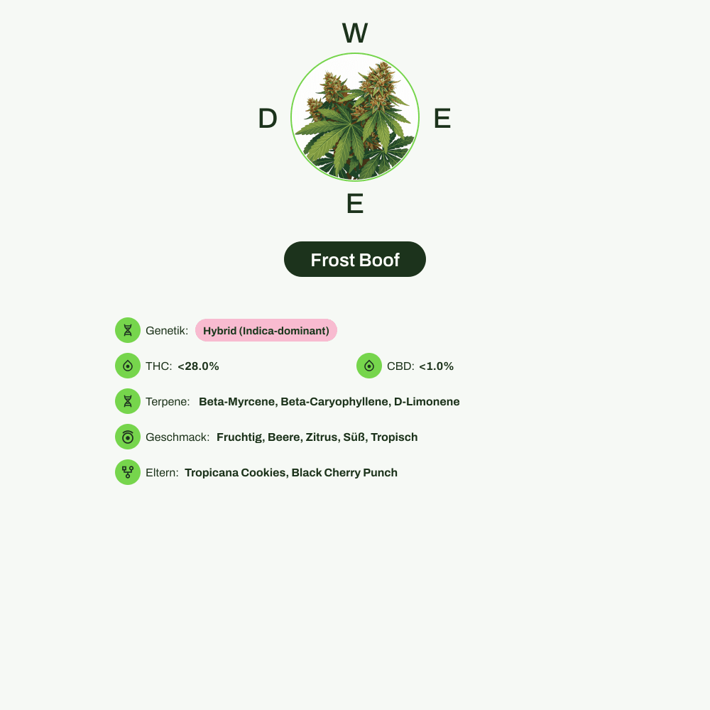Infografik über THC-Gehalt, CBD-Gehalt, Terpene, Wirkungen, Geschmack von Frost Boof
