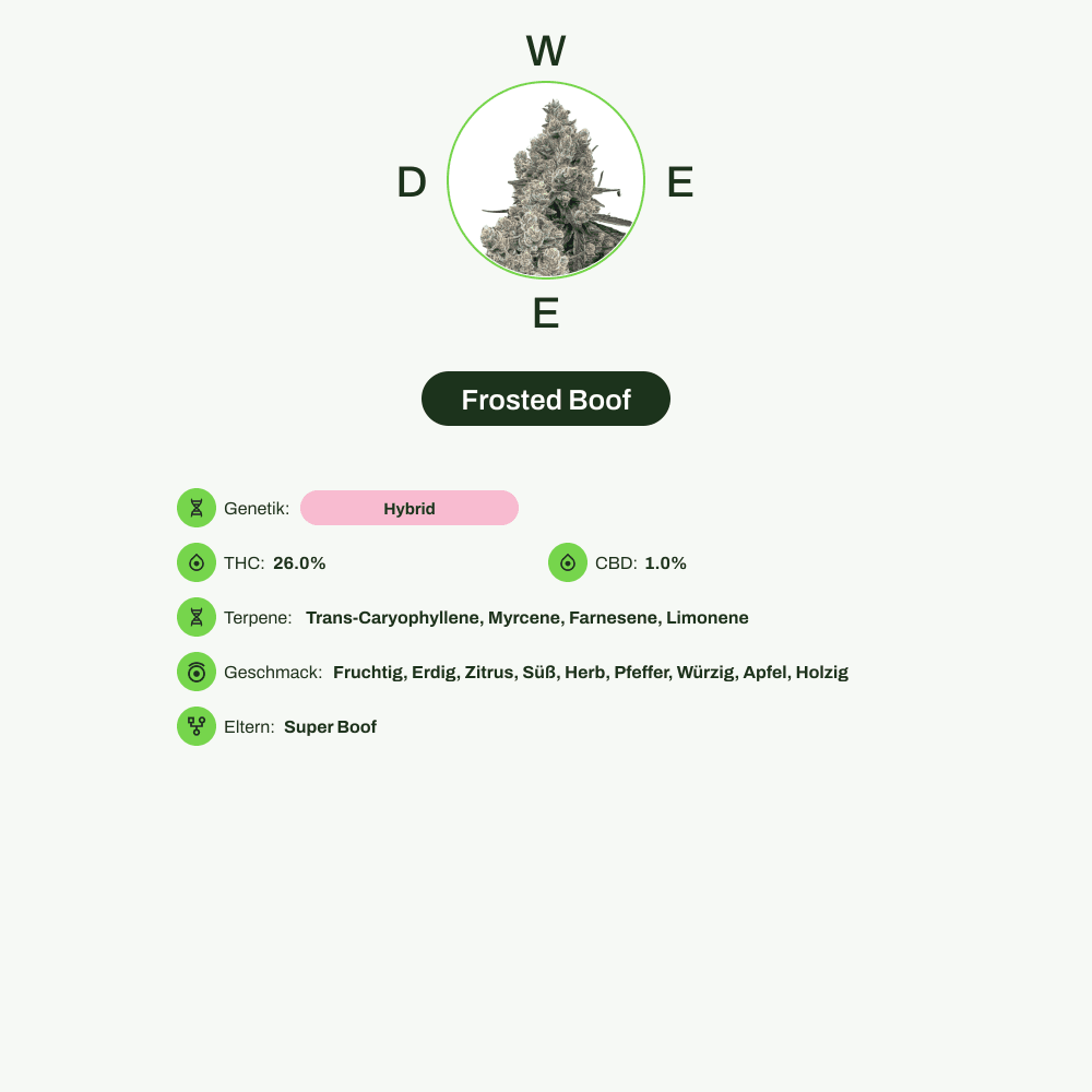 Infografik über THC-Gehalt, CBD-Gehalt, Terpene, Wirkungen, Geschmack von Frosted Boof