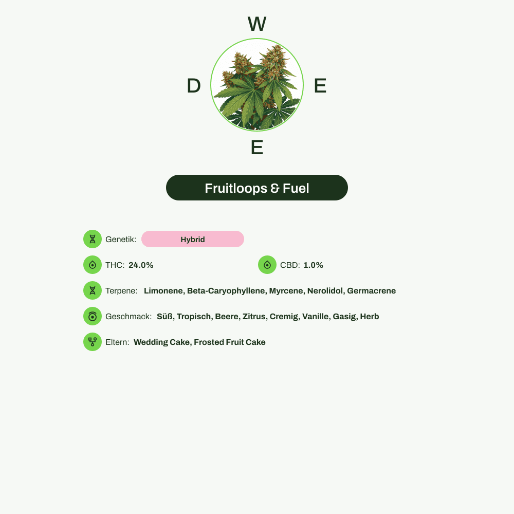 Infografik über THC-Gehalt, CBD-Gehalt, Terpene, Wirkungen, Geschmack von Fruitloops & Fuel