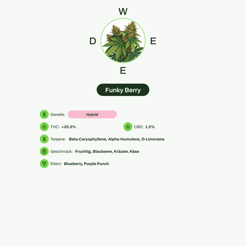 Infografik über THC-Gehalt, CBD-Gehalt, Terpene, Wirkungen, Geschmack von Funky Berry