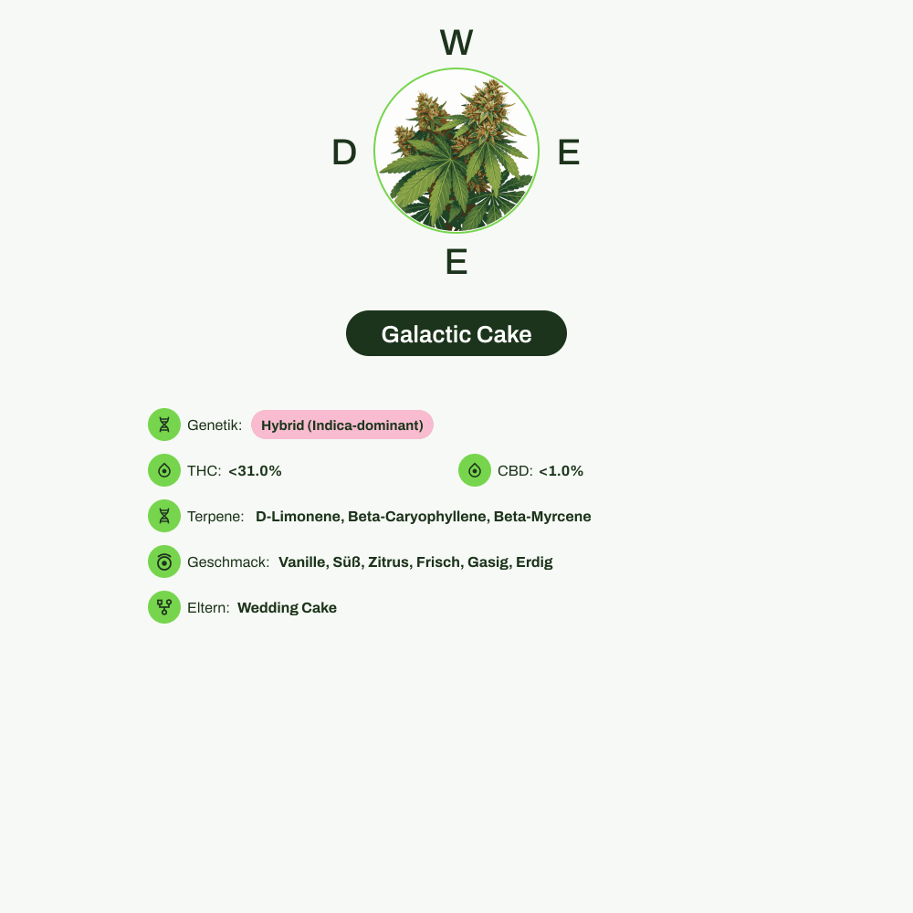 Infografik über THC-Gehalt, CBD-Gehalt, Terpene, Wirkungen, Geschmack von Galactic Cake