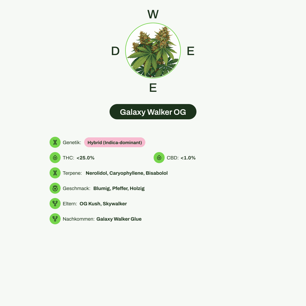 Infografik über THC-Gehalt, CBD-Gehalt, Terpene, Wirkungen, Geschmack von Galaxy Walker OG