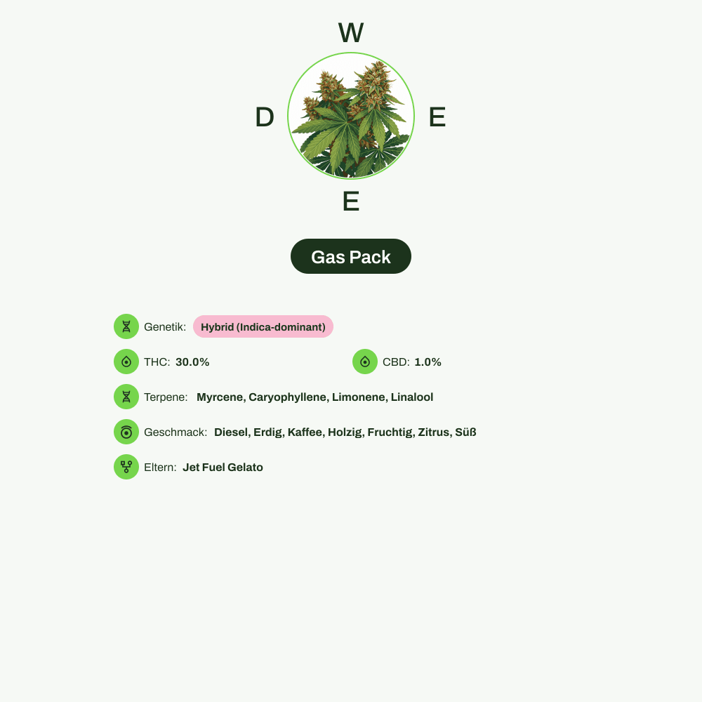 Infografik über THC-Gehalt, CBD-Gehalt, Terpene, Wirkungen, Geschmack von Gas Pack